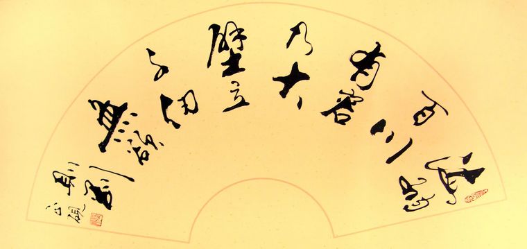 鷨