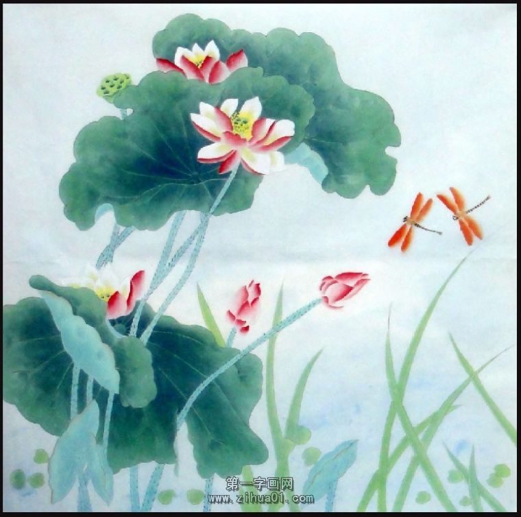 国画工笔荷花
