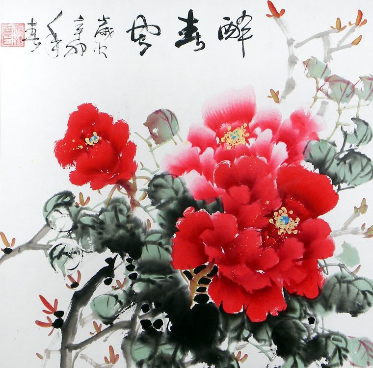 三尺斗方写意牡丹,国色牡丹花开富贵,国画牡丹